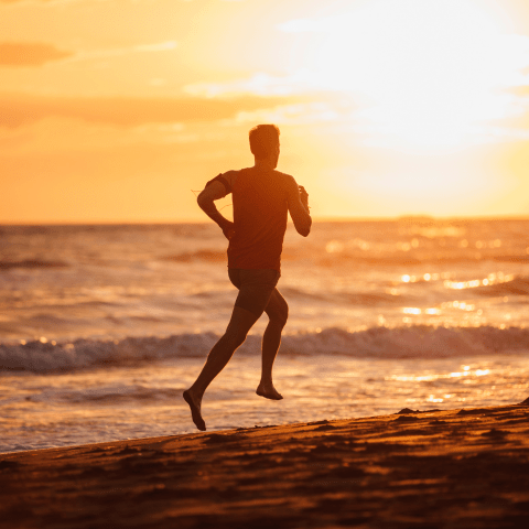 紅光在生物體中的奧秘
